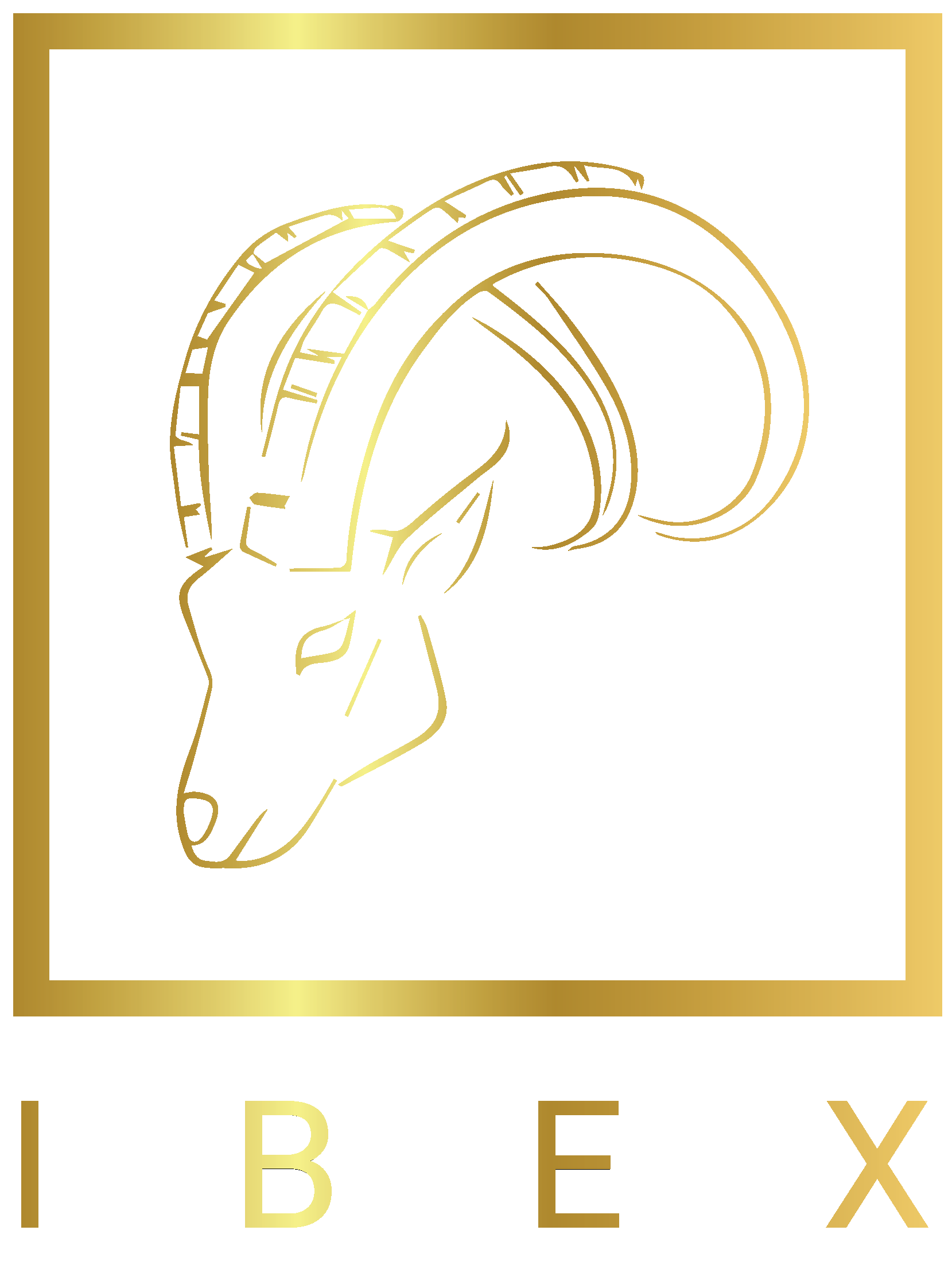 IBEX Technology Organization